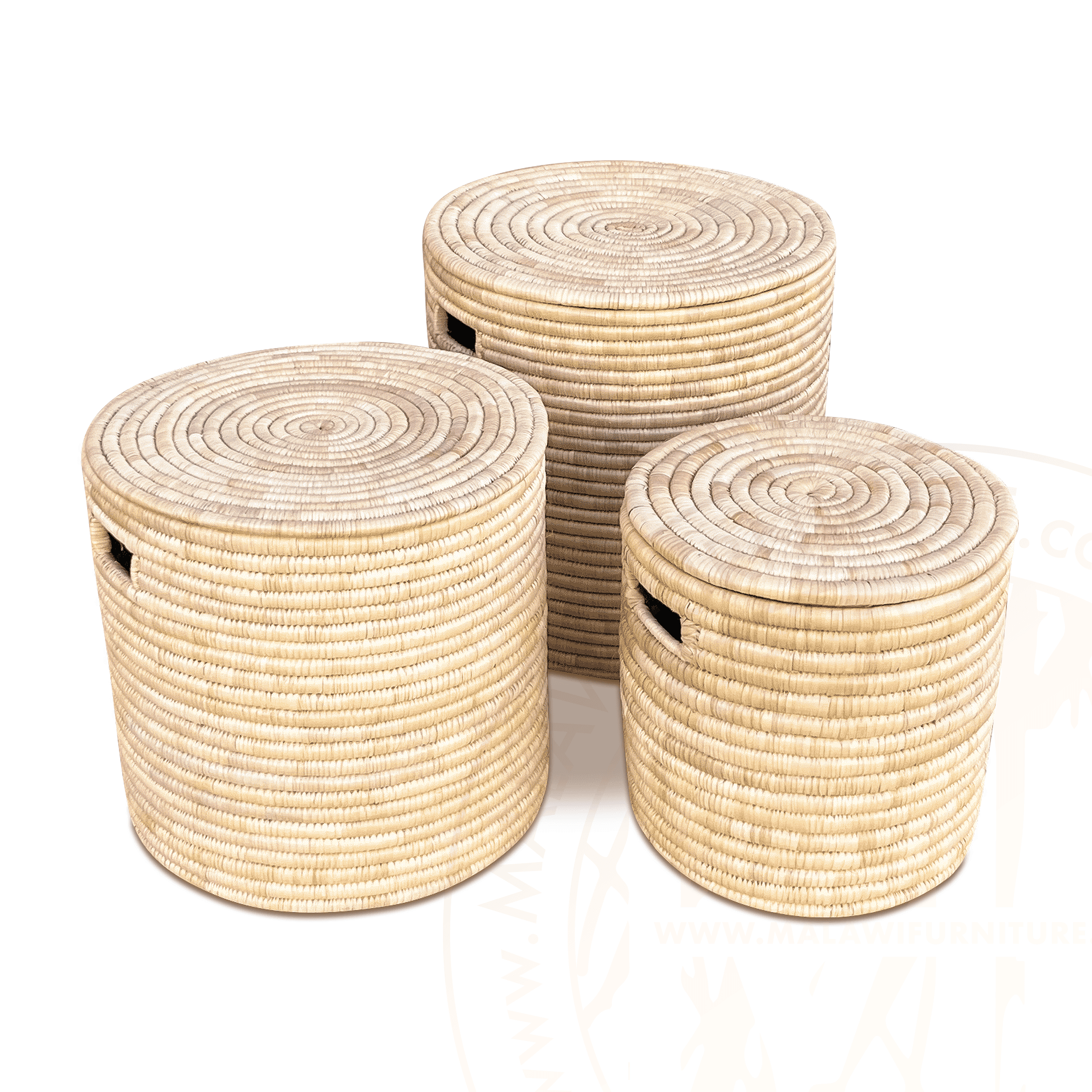 Laundry Baskets with lids